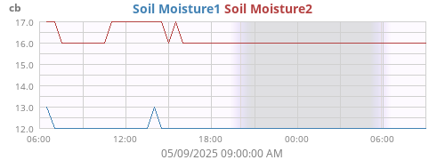 daymoistsoil