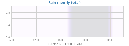 dayrain