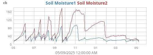 yearmoistsoil