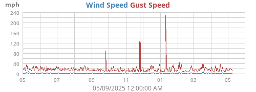 yearwind